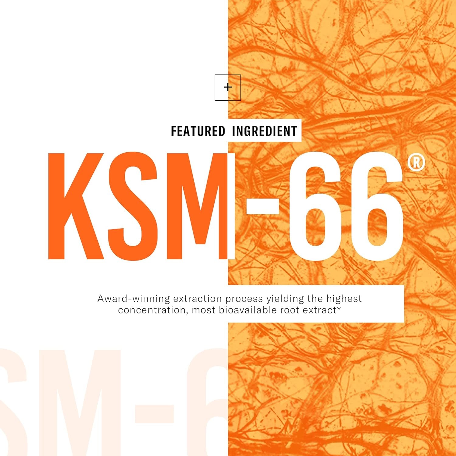 KSM-66 Ashwagandha Root Powder Extract - Stress, Mood, & Athletic Support - 1,000 MG of Clinically Studied KSM66 & Black Pepper for Maximum Absorption - 5% Withanolides - 60 Vegan Capsules