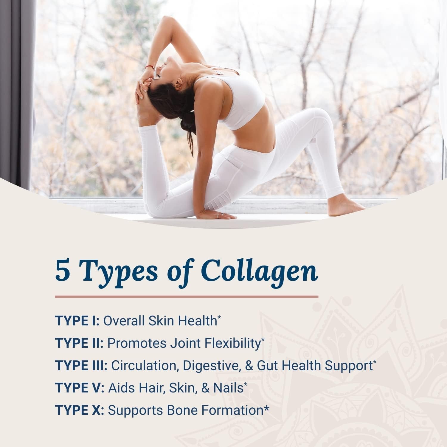 beyond Collagen Multi Collagen Capsules - Types I, II, III, V & X - Hydrolyzed Blend with Biotin & Vitamin C for Hair, Skin, Nails 90 Capsules