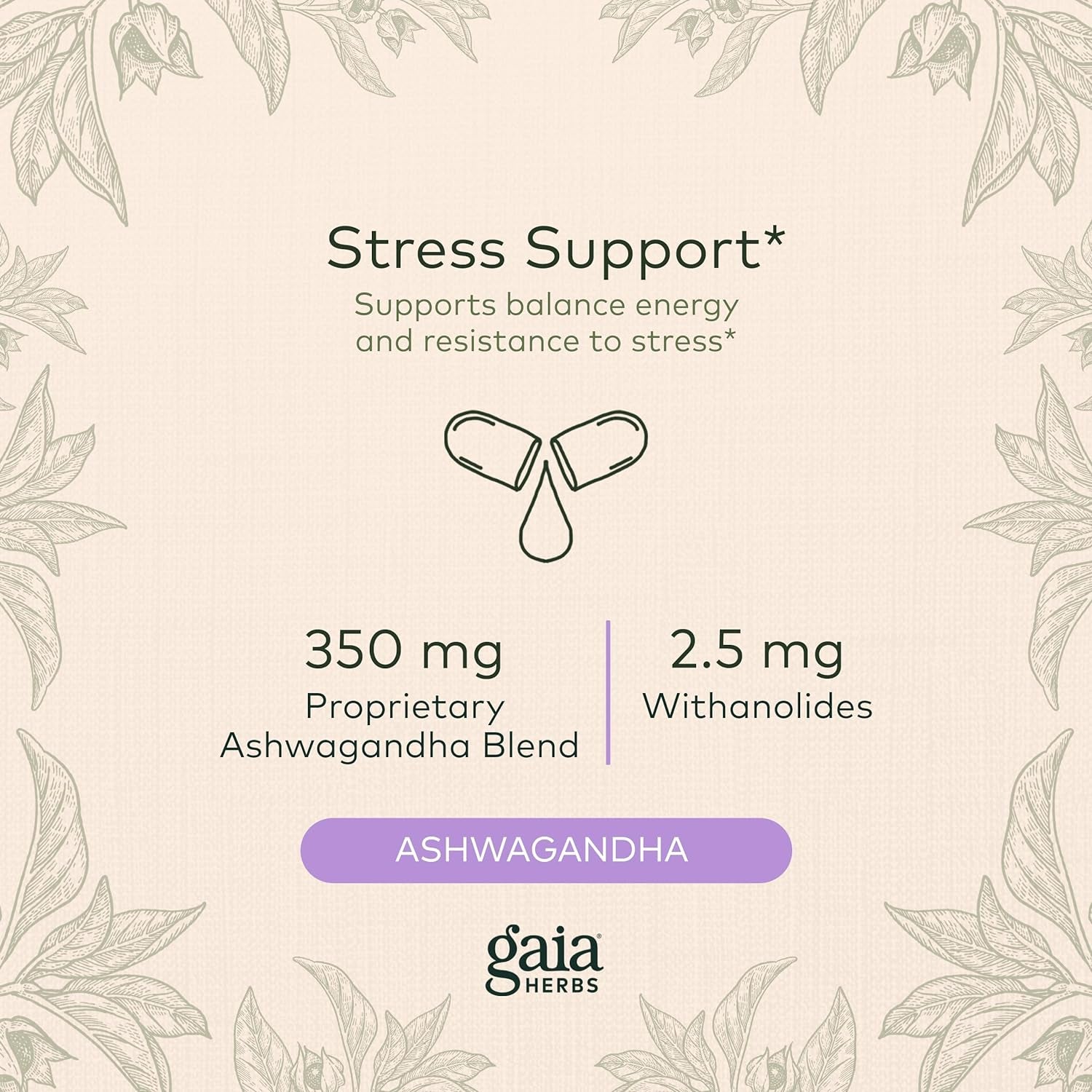 , Ashwagandha Root Vegan Liquid Phyto Capsules - Stress Relief, Immune Support Supplement, Balanced Energy Levels and Mood, 60-Count (Pack of 1)