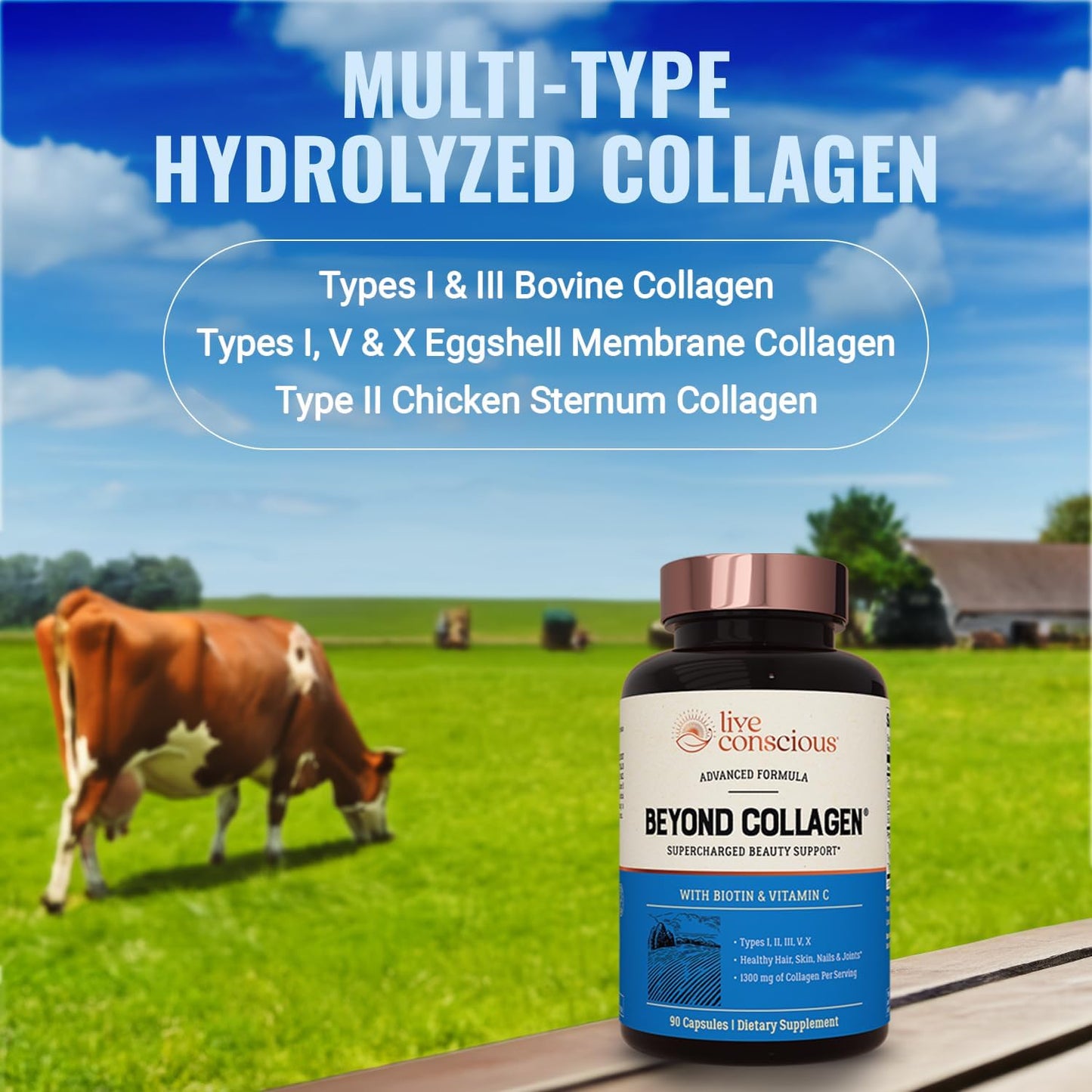 beyond Collagen Multi Collagen Capsules - Types I, II, III, V & X - Hydrolyzed Blend with Biotin & Vitamin C for Hair, Skin, Nails 90 Capsules